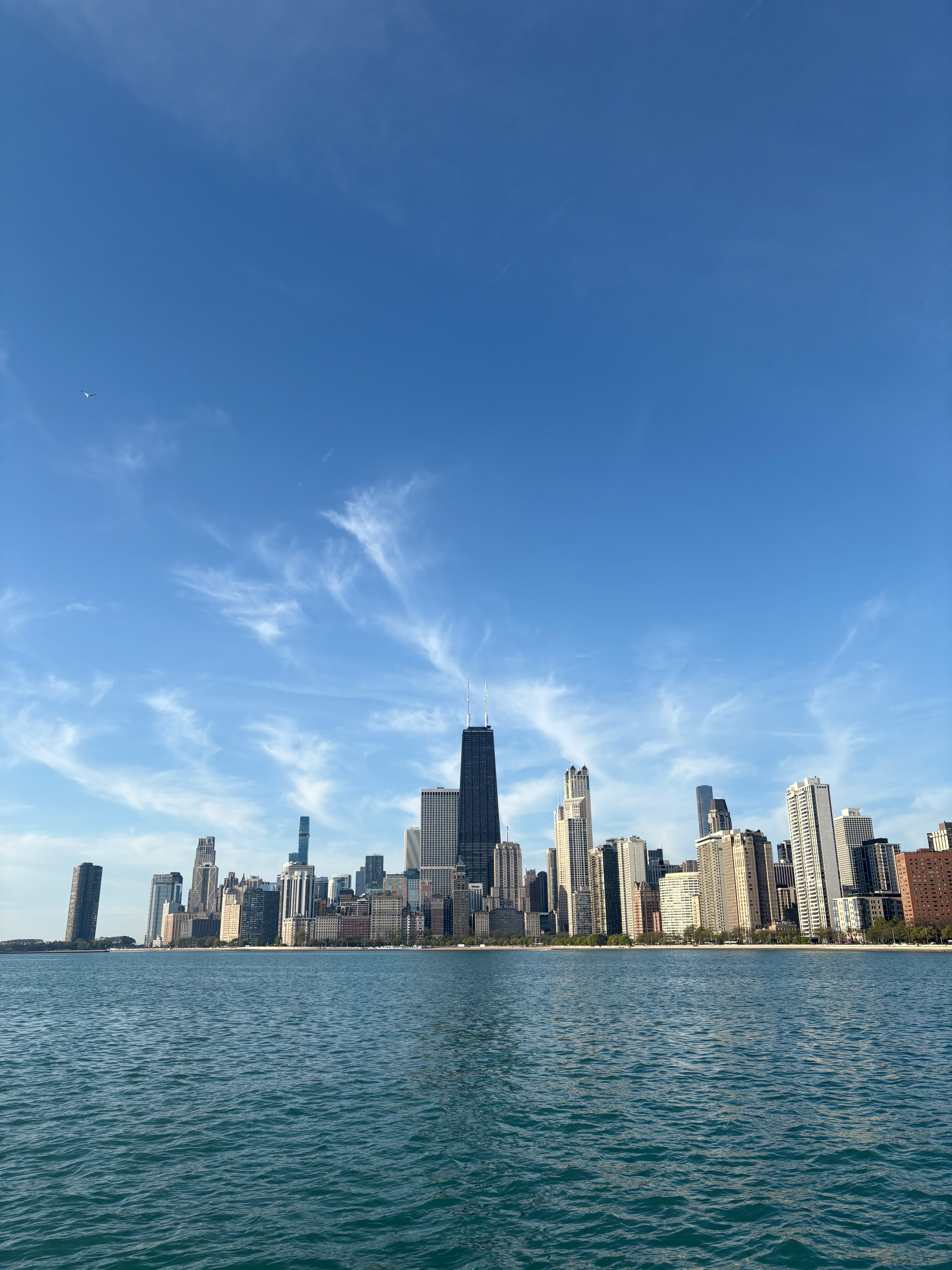 Photo of Chicago Skyline and Lake